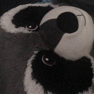 Meet your Posher, Thanh diep